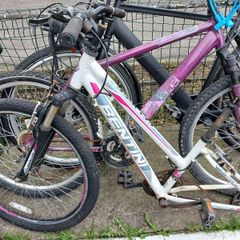 ladies bike