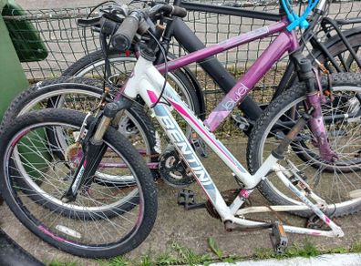 ladies bike