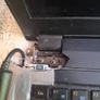 PC Specialist Clevo Laptop  i5-7300HQ 12GB RAM Image 2