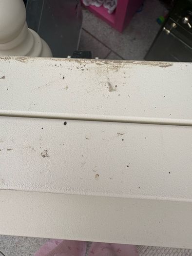 Free Cream Metal Daybed With Trundle