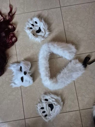 Fox costume and more