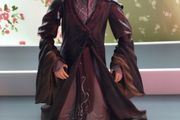 Lord of the rings Elrond of Rivendell 7 inch action Figure 2004