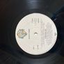 Van Halen "Diver Down" Image 3