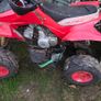 quad Image 2