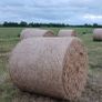 Round Bales of Hay and Silage for Sale Image 2