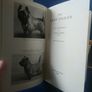 Cairn Terrier book Image 8