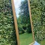 Mirror. Image 3