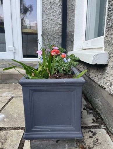 Grey JC & Co Rectangular Trough Flower Pots- 2 available