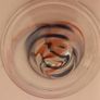 Eirian Studio Glasss  Bowl Image 6