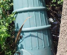 compost bin
