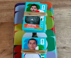 World Cup 2026 Stickers