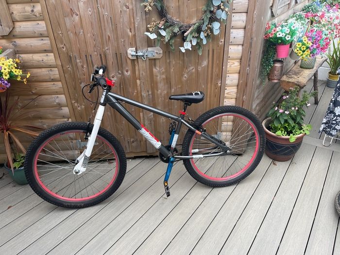 Dirt jumper