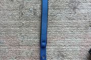 dog collar
