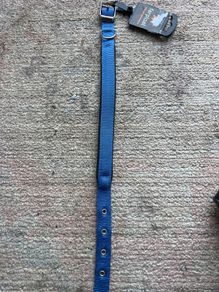 dog collar