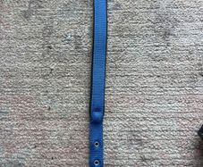 dog collar