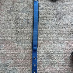 dog collar