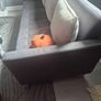 double sofa bed Image 3