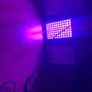 Plant Grow Lights Full spectrum Image 8