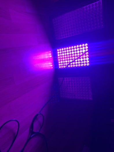 Plant Grow Lights Full spectrum