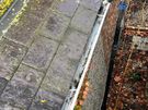 gutters cleaning, roof Cleaning + Pressure Washing, window 10% off now Image 10