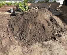 Free Top Soil