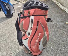 cobra golf bag