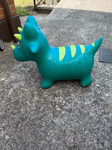 Child inflatable horse
