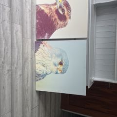 large canvas hawks 32+32 inch