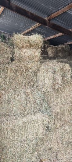 Square bales hay