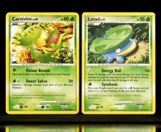 Carnivine Lv.39 68/127 and Lotad Lv.11 81/127 Common Platinum Base Set Pokemon Cards