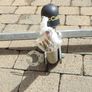 Towbar Image 5