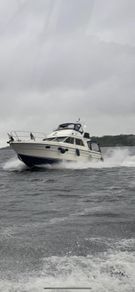 Princess 35