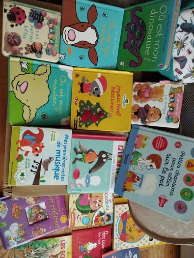 French kids books. Can be sold individually or 25 euros for the whole lot (about 20 books)