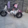 kids trike Image 3