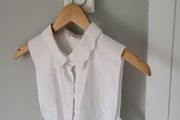 cos collar - reduced