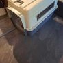 Pet Crate x 2 Image 3