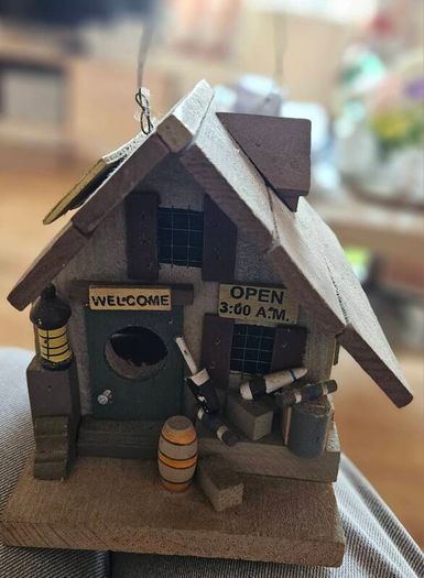 Fun Bird House
