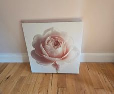canvas rose picture