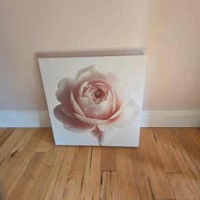 canvas rose picture
