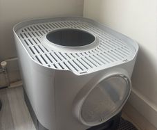 Modern and handy cat litter