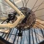 Giant Talon 1 (2021) Image 3