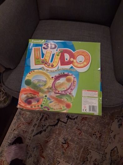 Game. Ludo.