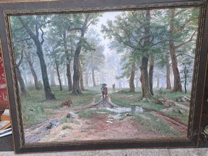 Rain in an oak forest