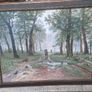 Rain in an oak forest Image 2