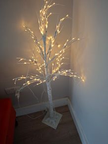 2 x light up trees