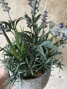 Artificial Lavender Plant