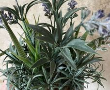 Artificial Lavender Plant