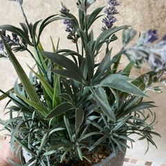 Artificial Lavender Plant