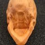 Carved wooden skull. Image 6