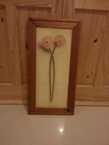 Flower framed picture